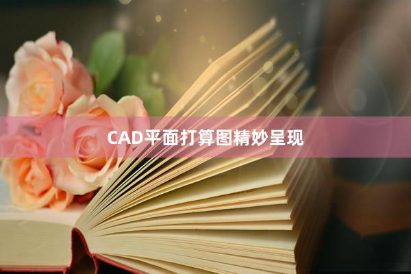 CAD平面打算图精妙呈现