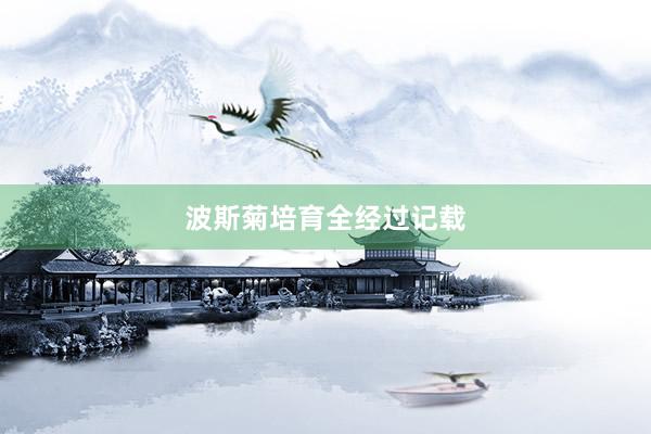 波斯菊培育全经过记载