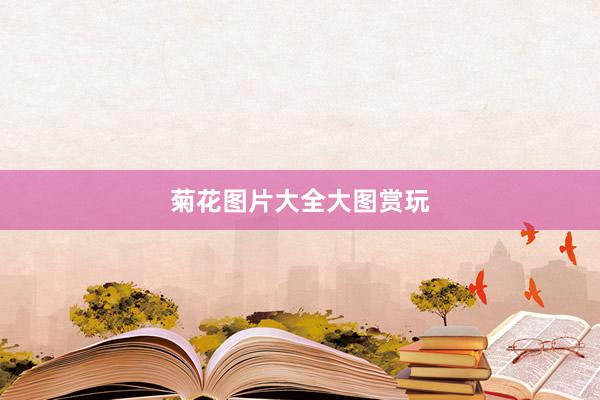 菊花图片大全大图赏玩