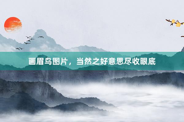 画眉鸟图片，当然之好意思尽收眼底